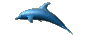 dolphinlov's Avatar