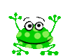 Frogs's Avatar