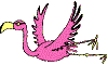 Flamingo's Avatar